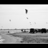 Kite Session - Beauduc
