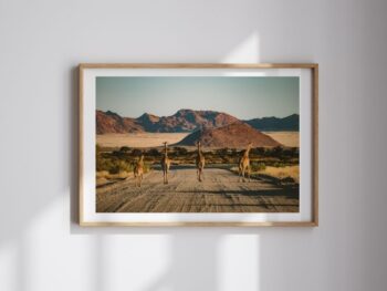 Fine Art Prints Girafe frame